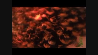 دوست دارم آقا قد یه دنیا - کربلایی مجید رضانژاد محرم94