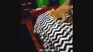 خخخخخ حتما ببینید خیل جالبه