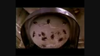 خخخخخ سوسکای خونه وقتی ک خونه نیستیم خخخخخخخ بیبینین مطمئنم خوشتون میادخخخ