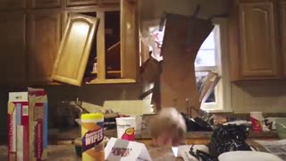 The Lonely Island - Great Day