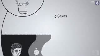 The Myth of the Missing Half