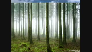 جاذبه های گردشگری کره ی جنوبی