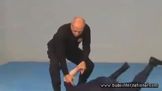 هاپکیدو در مبارزه ـ از سری آلبوم های آموزش هنرهای رزمی و دفاع شخصی کوثرپرداز