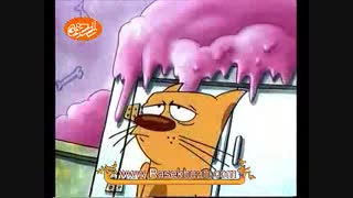 شکلات گربه سگ