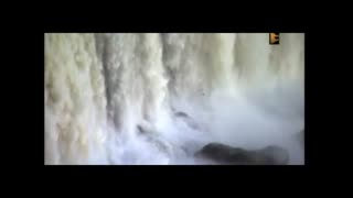 استاد سعید نیکبخش صدایی با معیارهای ایرج