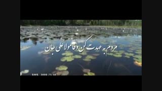 استاد سعید نیکبخش با معیارهای ایرج