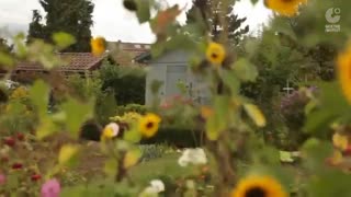 قسمت5 سریال آموزشی موسسه گوته :Ticket nach Berlin