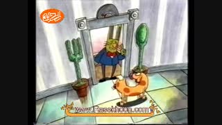 غذای گربه سگ