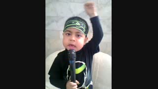 مداح کوچولو پویا (امیر علی) افشاری، شهادت حضرت زهرا(س)