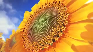 محاسبات دقیق ریاضی در آفرینش