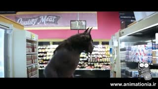 ترس و لرز  Goosebumps تریلر 2