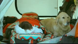 لی مین هو تقریبا....