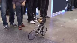 ربات  دوچرخه سوار