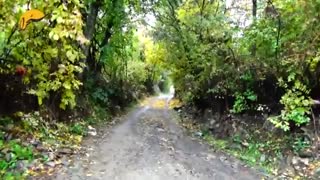 رنگ خدا بر رخسار طبیعت کلیبر