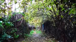 رنگ خدا بر رخسار طبیعت کلیبر