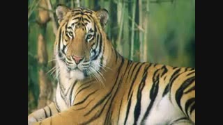 اهمیت علم زیست شناسی