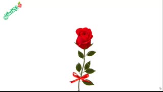 خواص کرم گل سرخ