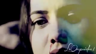 لحظه های ناب چکاوک