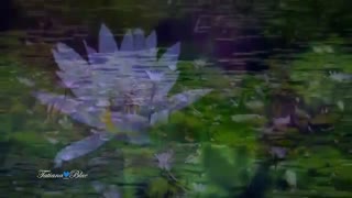 صلح آمیز- جیووانا مارادی