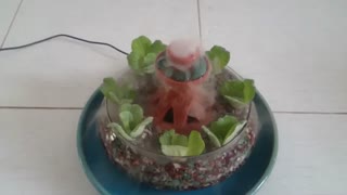 گلدان با بخار سرد