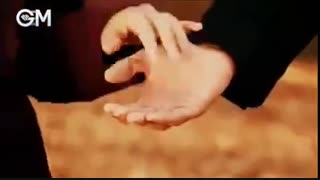 به یاد فاطماگل و پاشایی