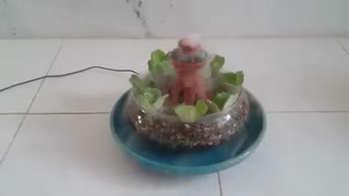 گلدان زیبای مجهز به سیستم بخار سرد