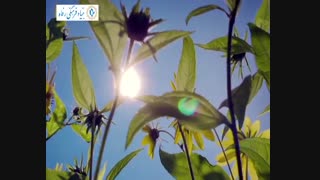 نشانه های خلقت1