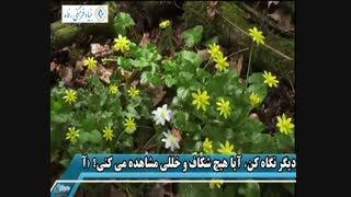 نشانه های خلقت 7