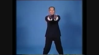 وینگ چون ایپ چون - سری آلبوم های آموزش هنرهای رزمی و دفاع شخصی کوثرپرداز