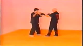 وینگ چون- تکنیک های مبارزه پیشرفته ویکتور گوتیه رز - سری آلبوم های آموزشی هنرهای رزمی و دفاع شخصی کوثرپرداز