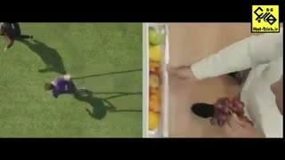 بکو و بارسلونا