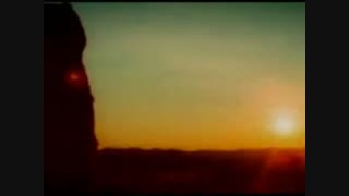 درخت مصنوعی راهی برای نجات زمین