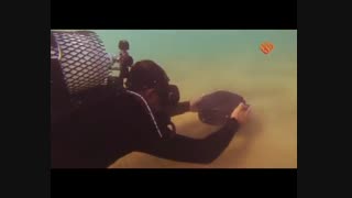 کلیپ دیدنی عمار داره این خاک باصدای حامدزمانی