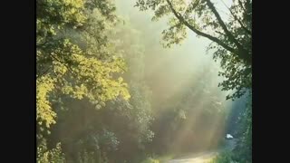 حرف هایی برای گفتن