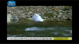 سریال آب پریا - 8