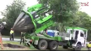 جابجایی درختان بزرگ با ماشین درخت کن