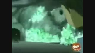 یک تیکه از نبرد کاتارا