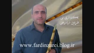 تکنوازی نی فردین زارعی افشار