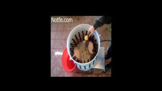 فروش دستگاه پرکن مرغ