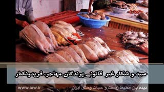 کمپین ایران پاک. برنامه امید، حمایت و حفاظت از پرندگان مهاجر