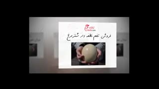 تهیه تخم نطفه دار