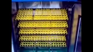 جوجه کشی از تخم مرغ گوشتی،پرندگان زینتی-دستگاه جوجه کشی ۵۴۰ تایی