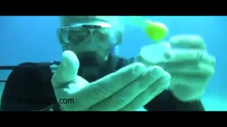 شکستن تخم در زیر آب