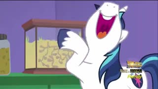 Shining Armor's reaction to Twilight's surprise