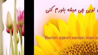 ریمیکس آهنگی از مصطفی جِجِلی