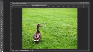 آموزش روتوش در فتوشاپ