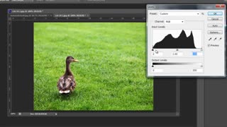 تغییر رنگ دادن و تنطیم کنتراست تصاویر در فتوشاپ