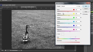 آموزش سیاه و سفید کردن تصاویر در فتوشاپ