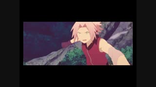 Sakura AMV