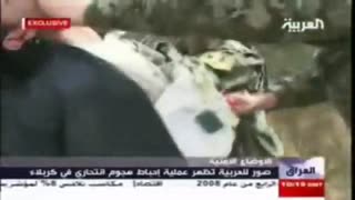 دستگیری عامل انتحاری در کربلا